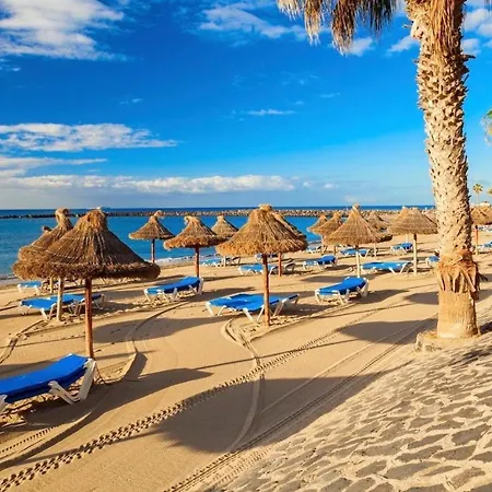 Apartament Summerland Studio Cristianos Los Cristianos (Tenerife)